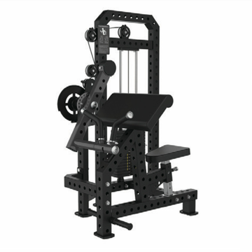 Classic Biceps and Triceps Combo (Pre Order)