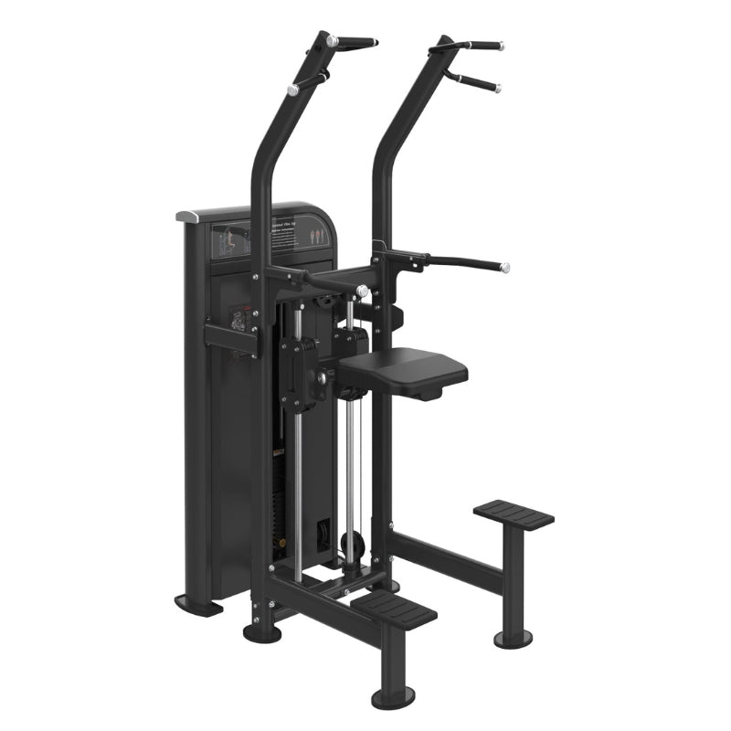 Pro Series Assisted Chin-Up / Dip Combo (300 LB Stack)