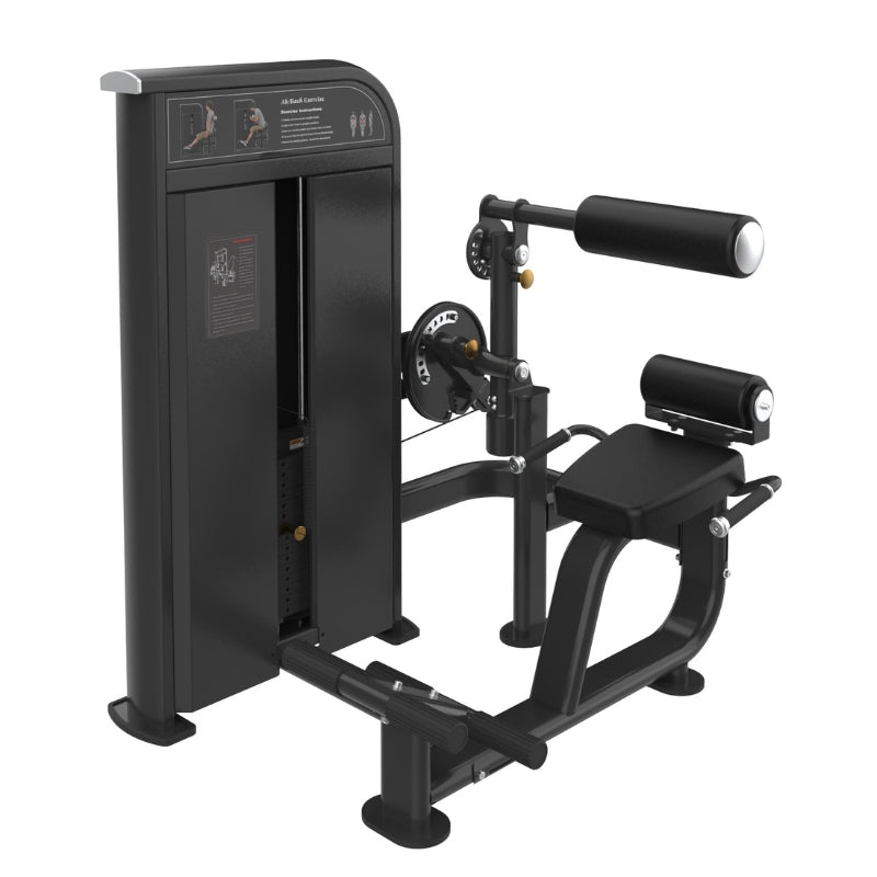 Pro Series Abdominal / Back Extension (300 LB Stack)