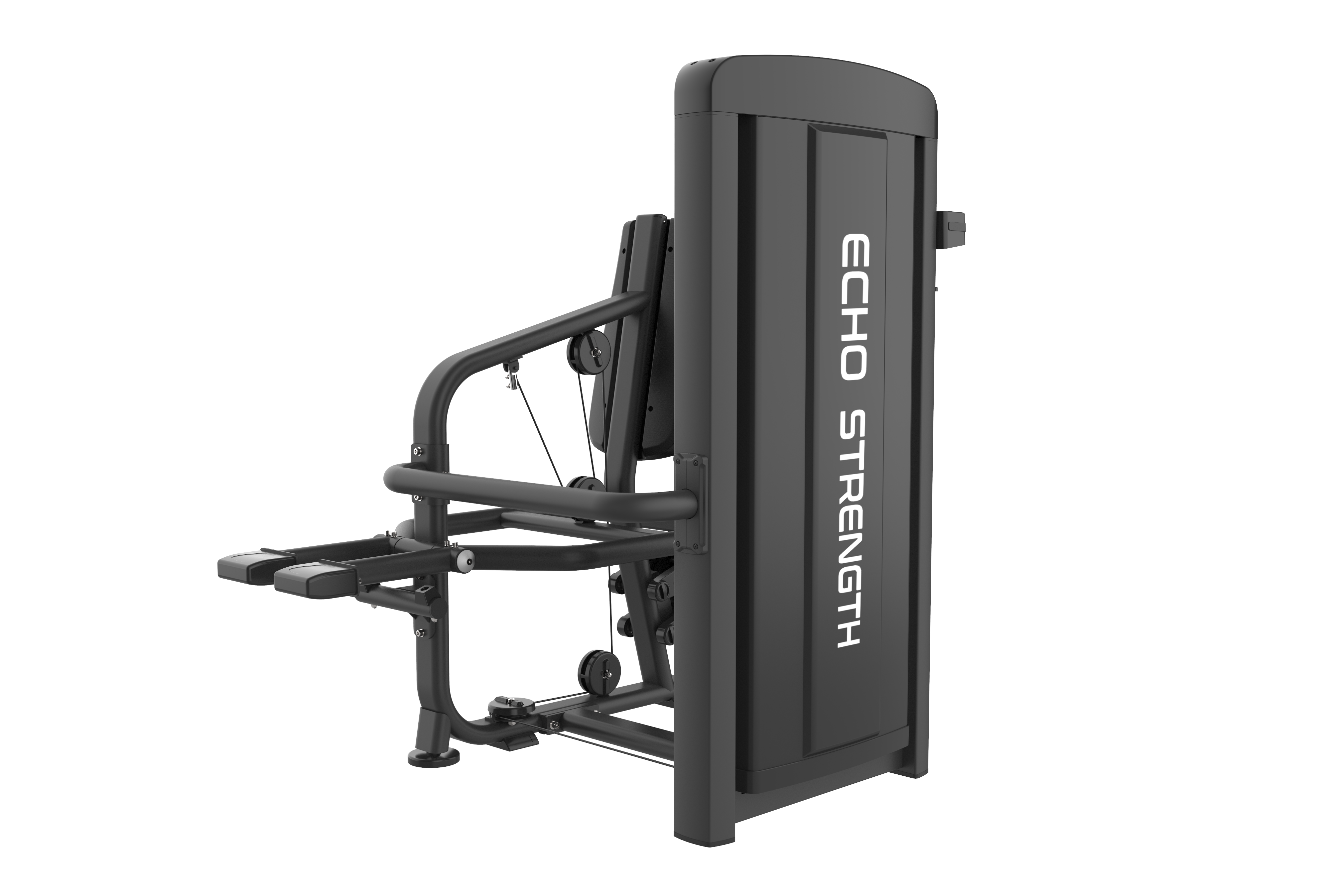 Commercial Triceps Exercise Machine