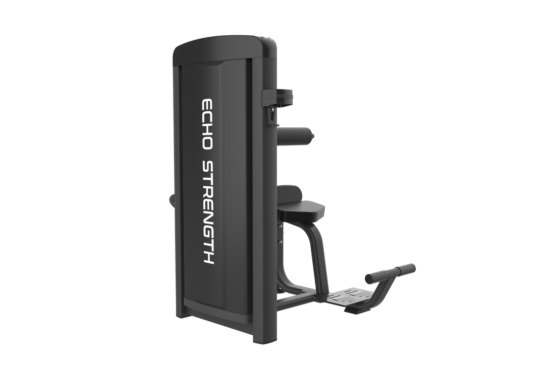 Commercial Seated Back Extension