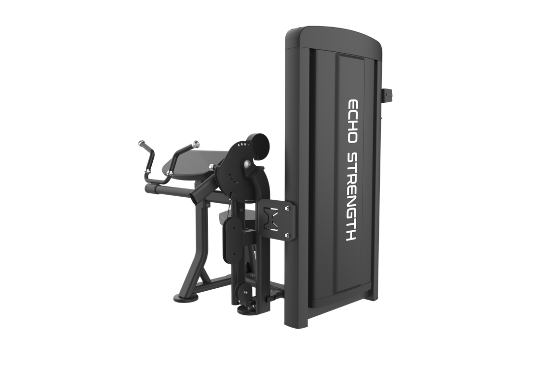Commercial Biceps and Triceps Exercise Machine