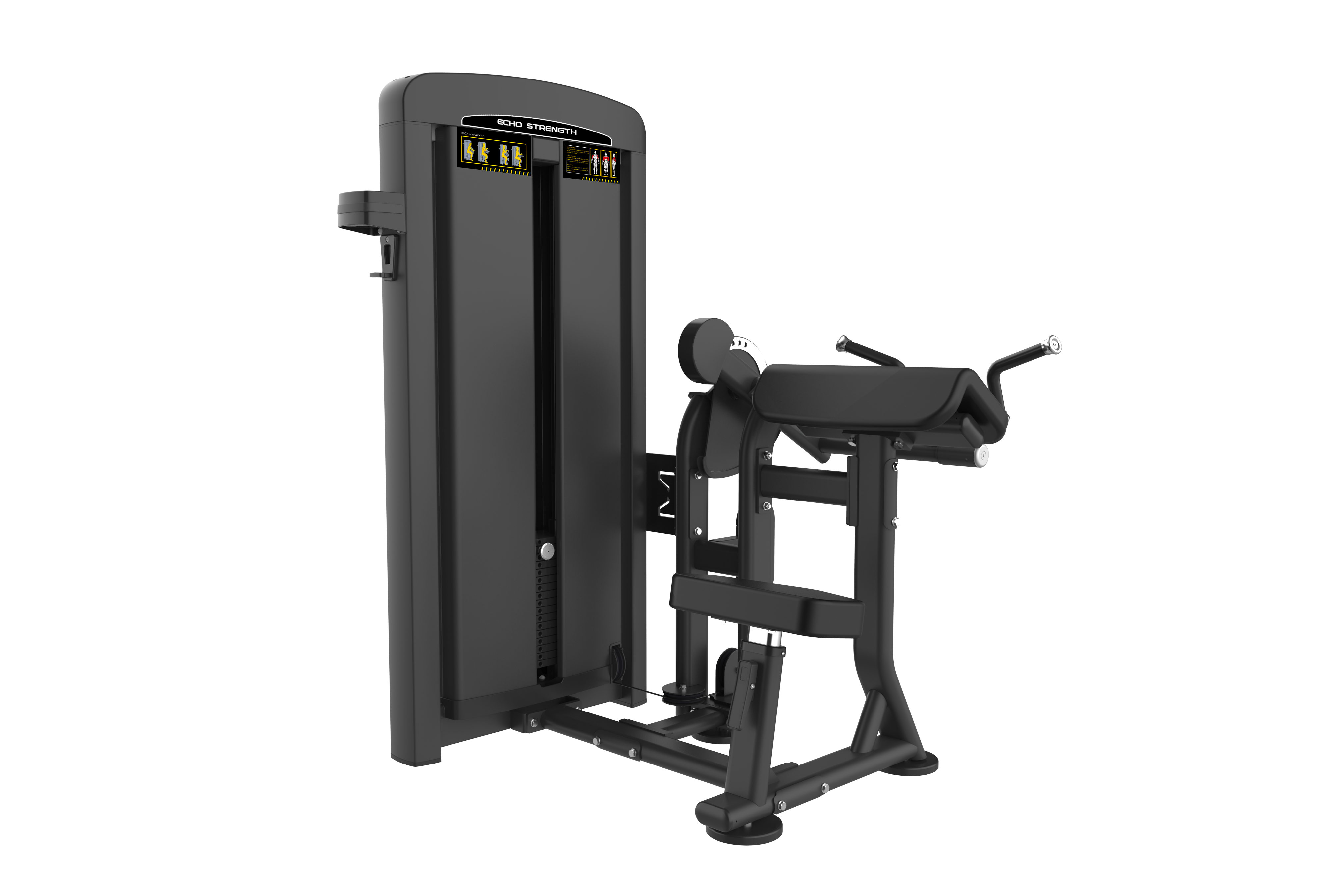 Commercial Biceps and Triceps Exercise Machine