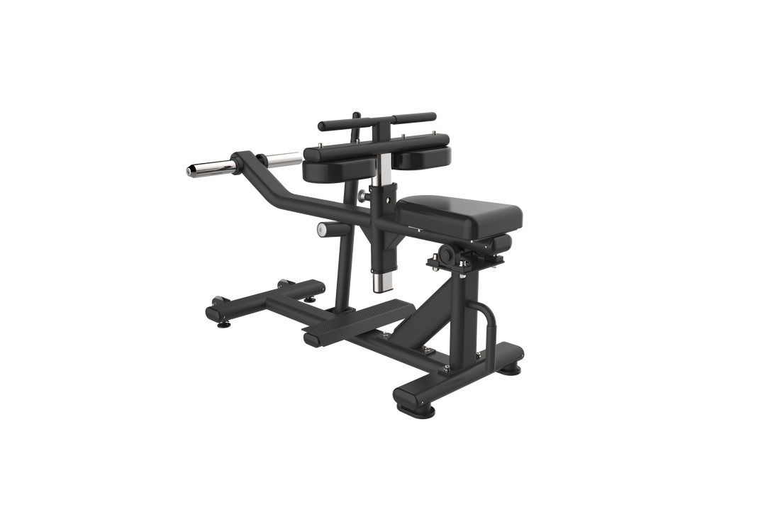 Seated Calf Raise