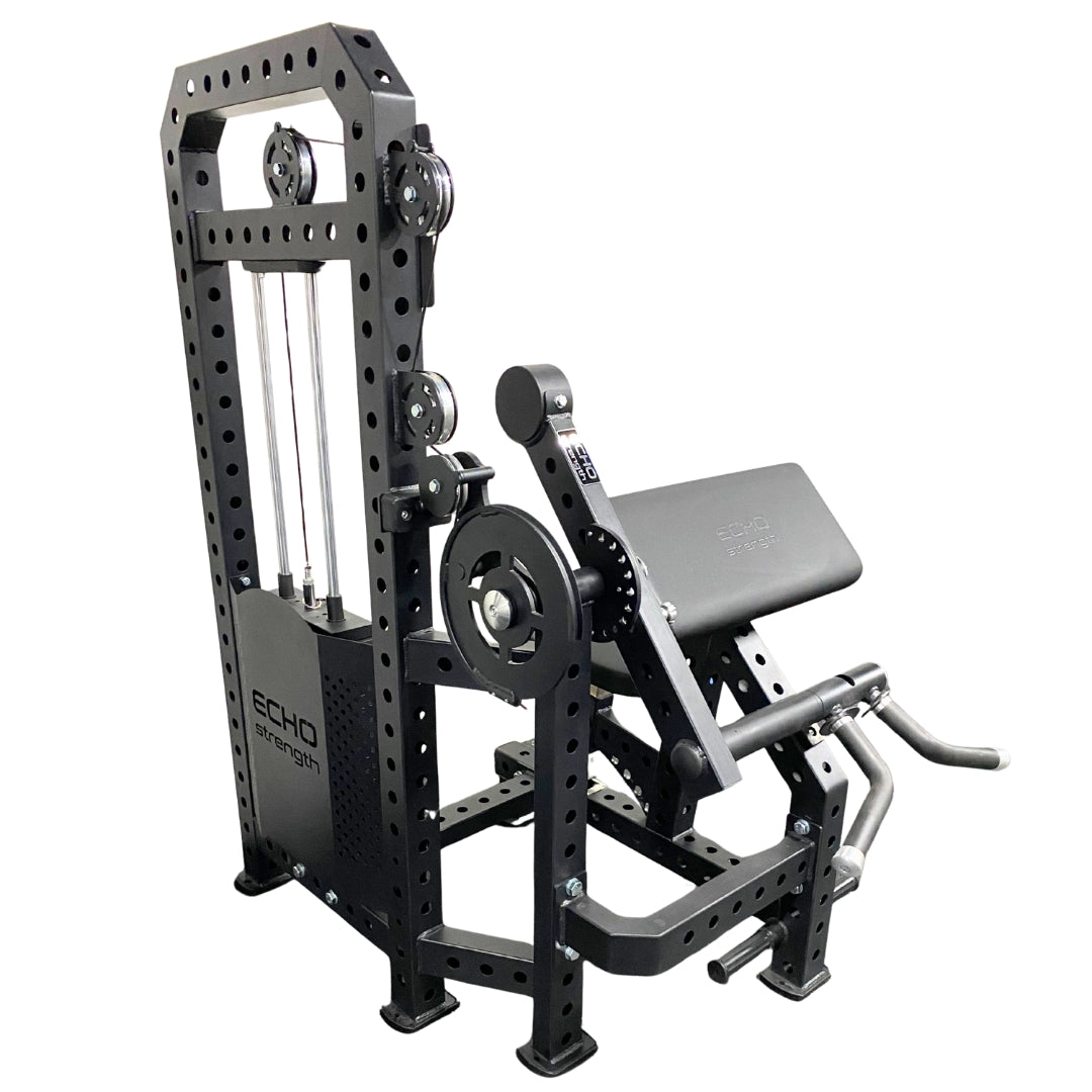 Echo Strength - Classic Biceps and Triceps Combo