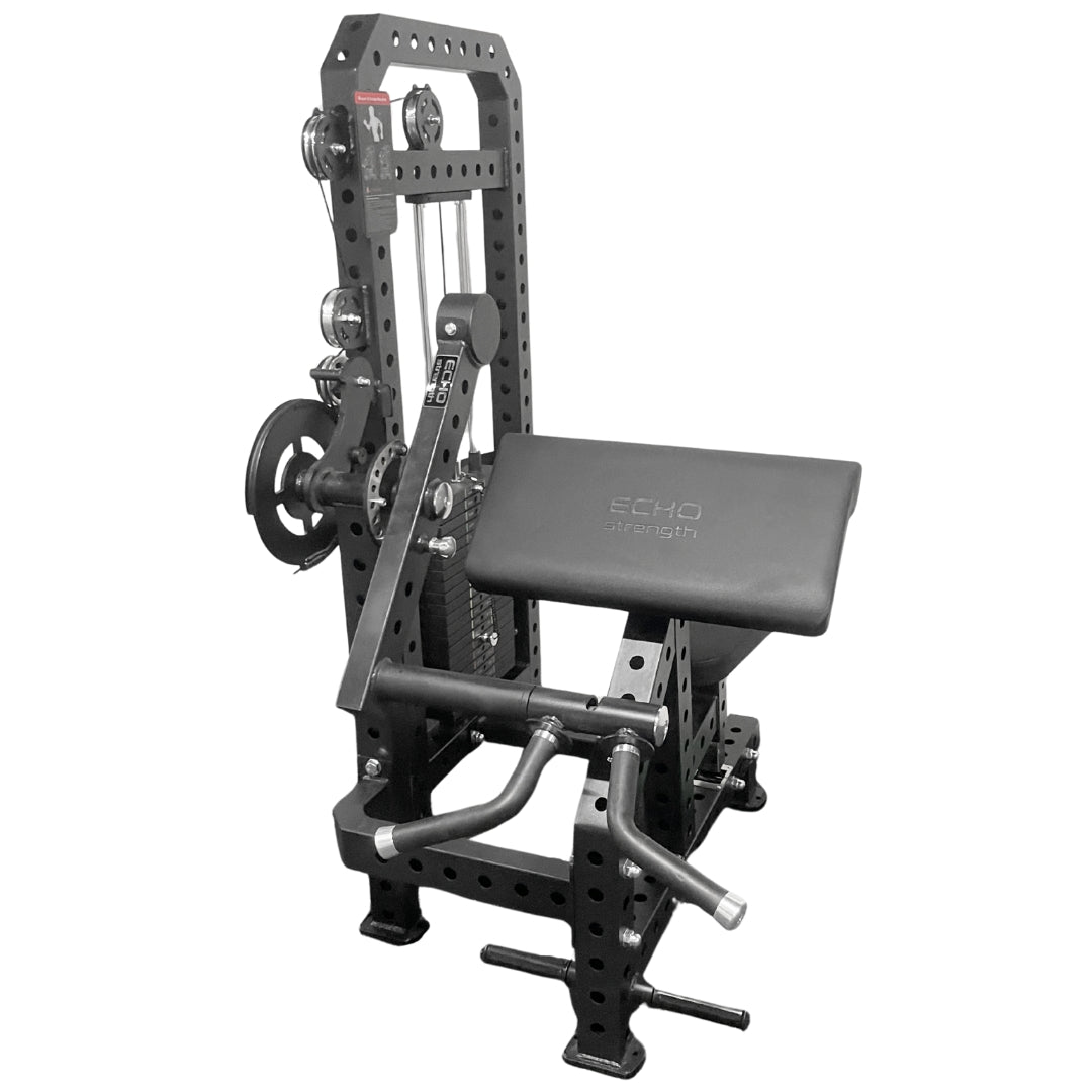 Echo Strength - Classic Biceps and Triceps Combo