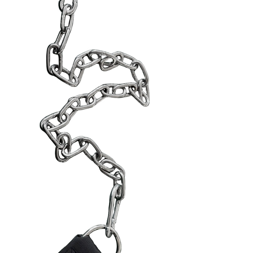 Echo Strength Heavy Duty Dip Belt